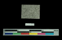 藏品(紡錘蟲石灰岩)的圖片